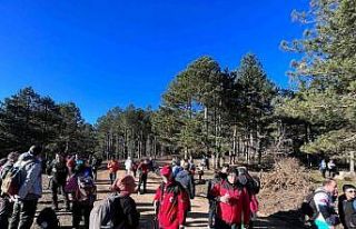 Doğaseverler ormanda 20 kilometre yürüdü