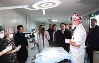 Dokuz Eylül’den sokak hayvanlarına şefkat eli