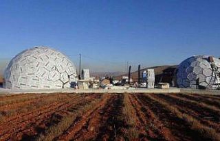 Dünyanın en büyük tek parça halindeki lavanta...