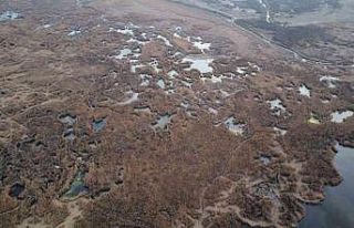 Eber Gölü için kuraklık alarmı!