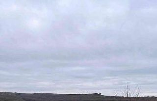 Edirne’de baraja düşen köpeği AFAD kurtardı