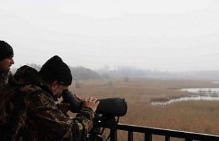 Efteni’de kuşlar sayıldı