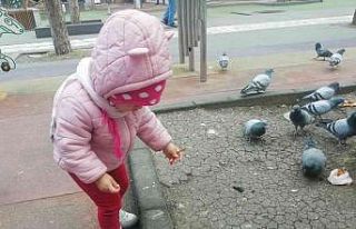 Elindeki krakeri güvercinlerle paylaştı