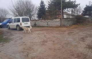 Emekli astsubay eşi ve çocuklarını öldürdü