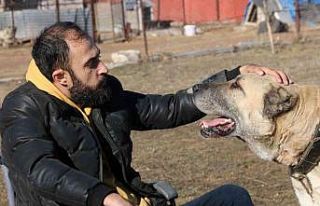 Engelini çok sevdiği Kangallarla aştı, ömrünün...