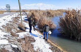 Erçek Gölü çevresine yaban hayvanlar için yem...