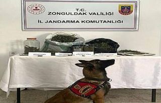Ereğli’de uyuşturucu operasyonu:1 gözaltı