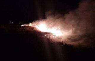Erzincan anız yangını