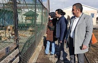 Erzincan Belediyesinin 5199 sayılı kanun ve ilgili...