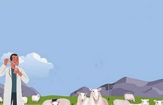 Erzincan’da 3 adet proje teknik eleman alımı yapılacak