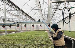 Eskişehir’in Akdeniz’inde üretilen 20 milyon...