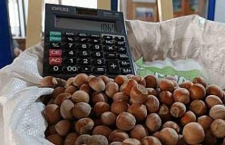 Fındık yükselişte