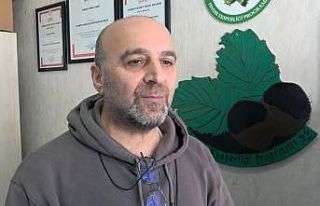 Fındıkta verim ve kaliteyi düşüren yanlış uygulamalar