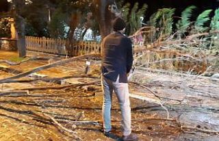 Fırtına ağaçları devirdi, çatıları uçurdu