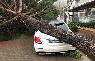 Fırtına ağaçları devirdi, lüks araç ve bir...