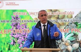 Gıda denetimi sonrası 2,5 milyon TL’ye yakın...