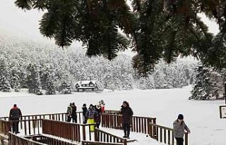 Gölcük Tabiat Parkı’nda göl dondu, ortaya kartpostallık...