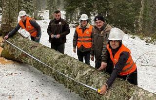 Gölyaka’da orman üretim bölmeleri kontrol edildi