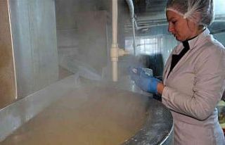 Günde 60 ton üretiyor...Tam bir şifa kaynağı