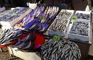 Gürcü hamsisi 30, Sinop hamsisi 60 TL