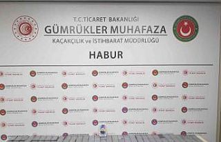 Habur Gümrük Kapısı’nda 330 adet kaçak cep...