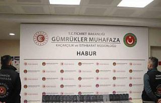 Habur’da milyonlarca lira değerinde kaçakçılık...
