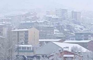 Hakkari’de 176 yerleşim yeri ulaşıma kapandı