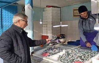 Hamsi bollaştı, fiyatı yarı yarıya düştü