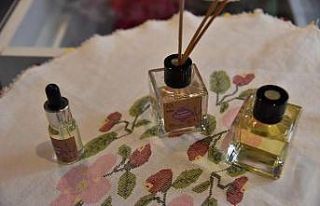 Hasat edilen lavantalardan sabun, kolonya, lavanta...