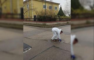 Haşerelere karşı ilaçlama yapıldı