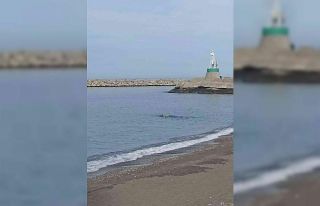 Hava sıcaklığı 20 dereceye yükseldi, vatandaşlar...