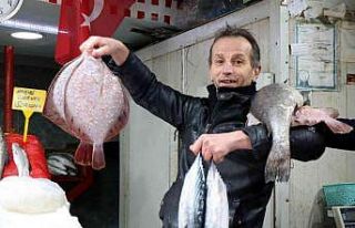 Havalar soğudu, balık tezgahları şenlendi