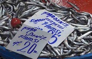 Havalar soğudu, balık tezgahlarına bereket geldi