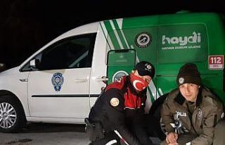 Havaların soğuduğu Uşak’ta sokak canlıları...