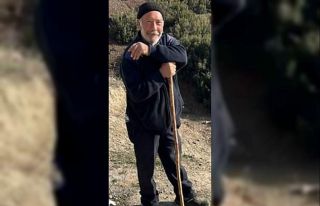 Hayvanlarını otlatmak için araziye giden yaşlı...