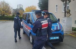 Hırsızlar jandarmadan kaçamadı