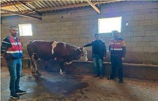 Iğdır JASAT’tan büyük başarı: 111 olay aydınlatıldı