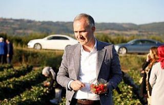 İnegöl tarımı şahlanıyor