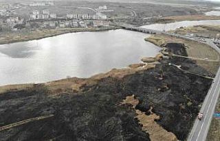 Isınmak için yaktığı ateş 45 dekar alanı kül...