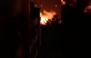 İskenderun’da ağaçlık alanda çıkan yangın...