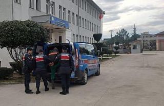 İtfaiye kurtardı, jandarma gözaltına aldı