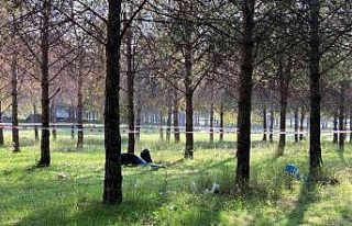 İzmir’de bir genç ormanlık alanda ölü bulundu