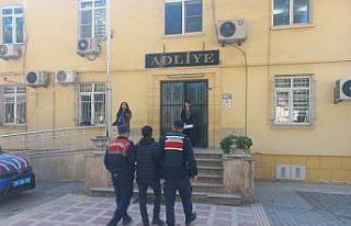 Jandarma aranan şahısları yakaladı