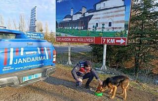 Jandarma ekiplerinden sokak hayvanlarına yönelik...