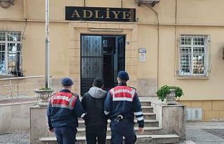 Jandarma Germencik’teki hırsızlığı aydınlattı