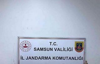 Jandarmadan uyuşturucu operasyonu