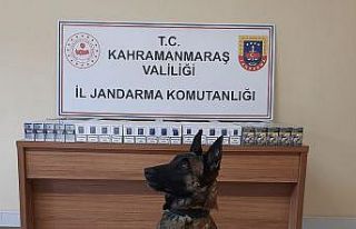 Kahramanmaraş’ta kaçakçılıkla mücadele