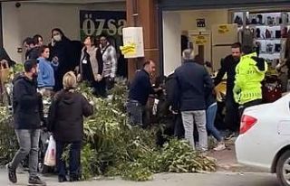 Kaldırımda yürüyen kadının başına ağaç dalı...