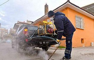 Karesi’de haşere ile mücadele sürüyor