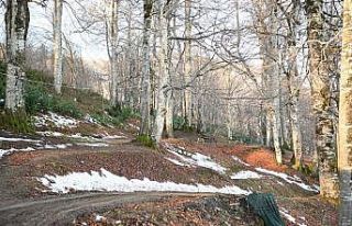 Kartepe’ye yeni mesire alanı